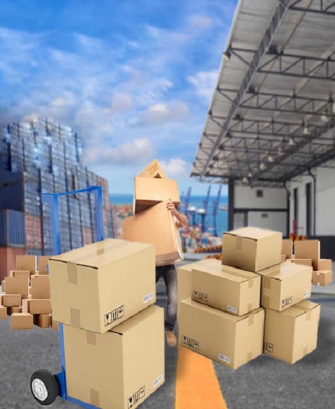 warehouse Storage Services in Jhansi