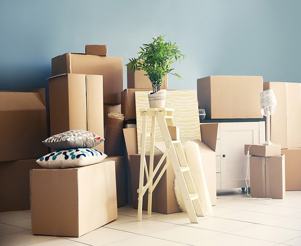 Top Packers and Movers in Jhansi